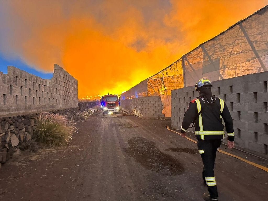 Canarias se prepara este verano para incendios forestales de quinta generación Canarias se prepara este verano para incendios forestales de quinta generación