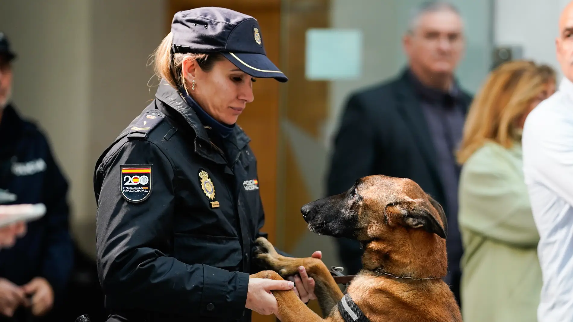 Héroes de cuatro patas: perros policía que buscan un hogar