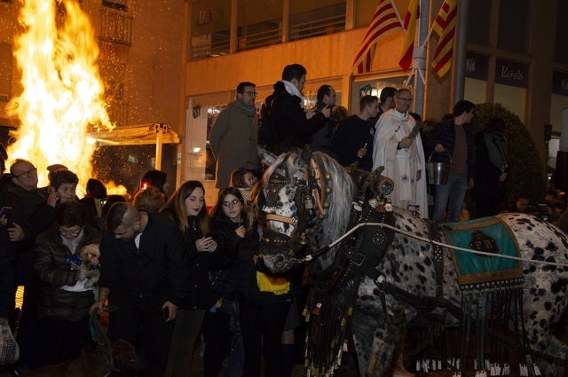 Así se celebra Sant Antoni en Benicàssim y Vila-real Así se celebra Sant Antoni en Benicàssim y Vila-real
