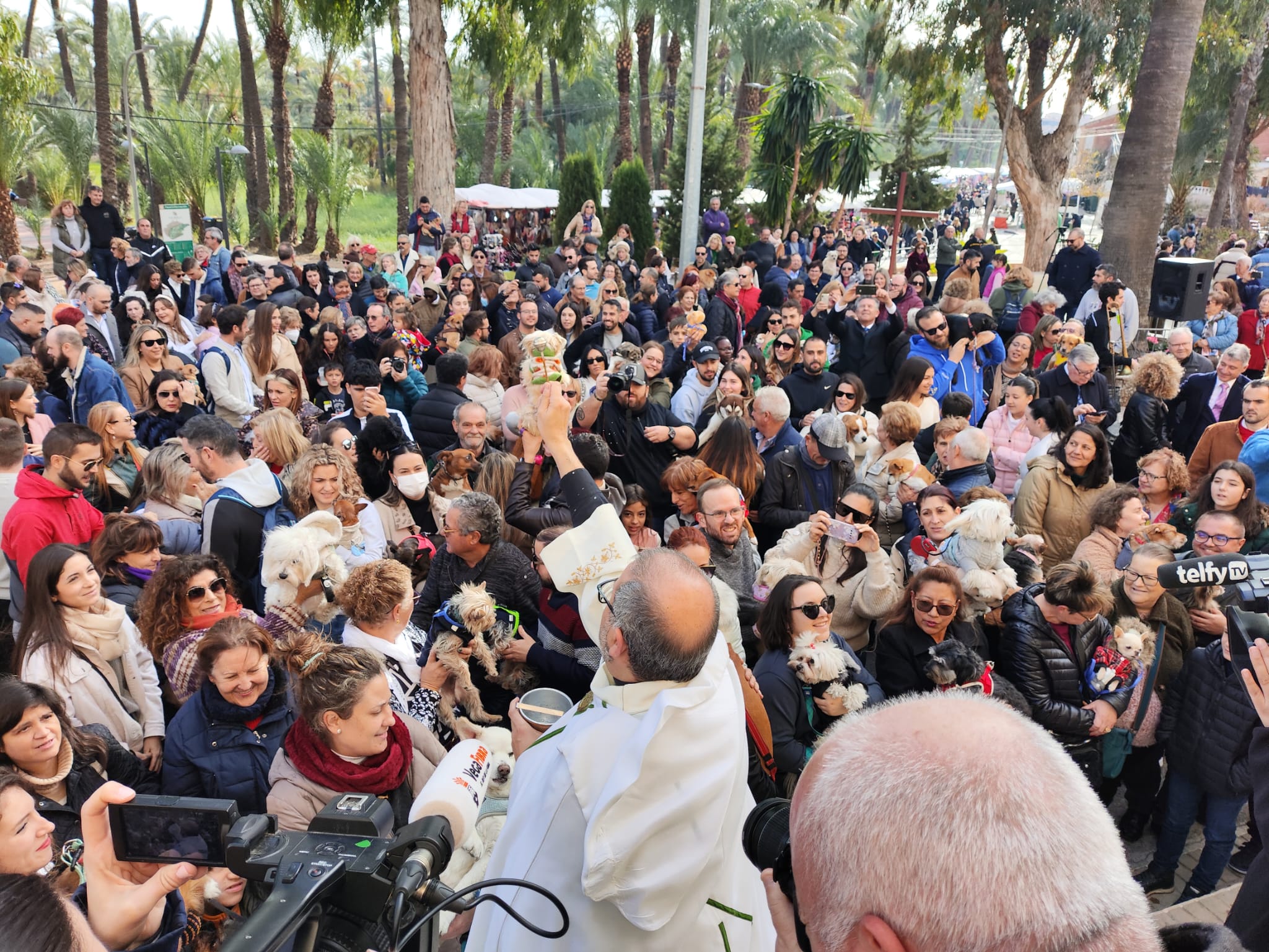 Orihuela se vuelca con la festividad de San Antón en el popular barrio junto al palmeral Orihuela se vuelca con la festividad de San Antón en el popular barrio junto al palmeral