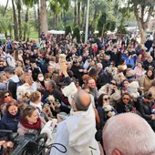 Orihuela se vuelca con la festividad de San Antón celebrado en el popular barrio Orihuela se vuelca con la festividad de San Antón celebrado en el popular barrio