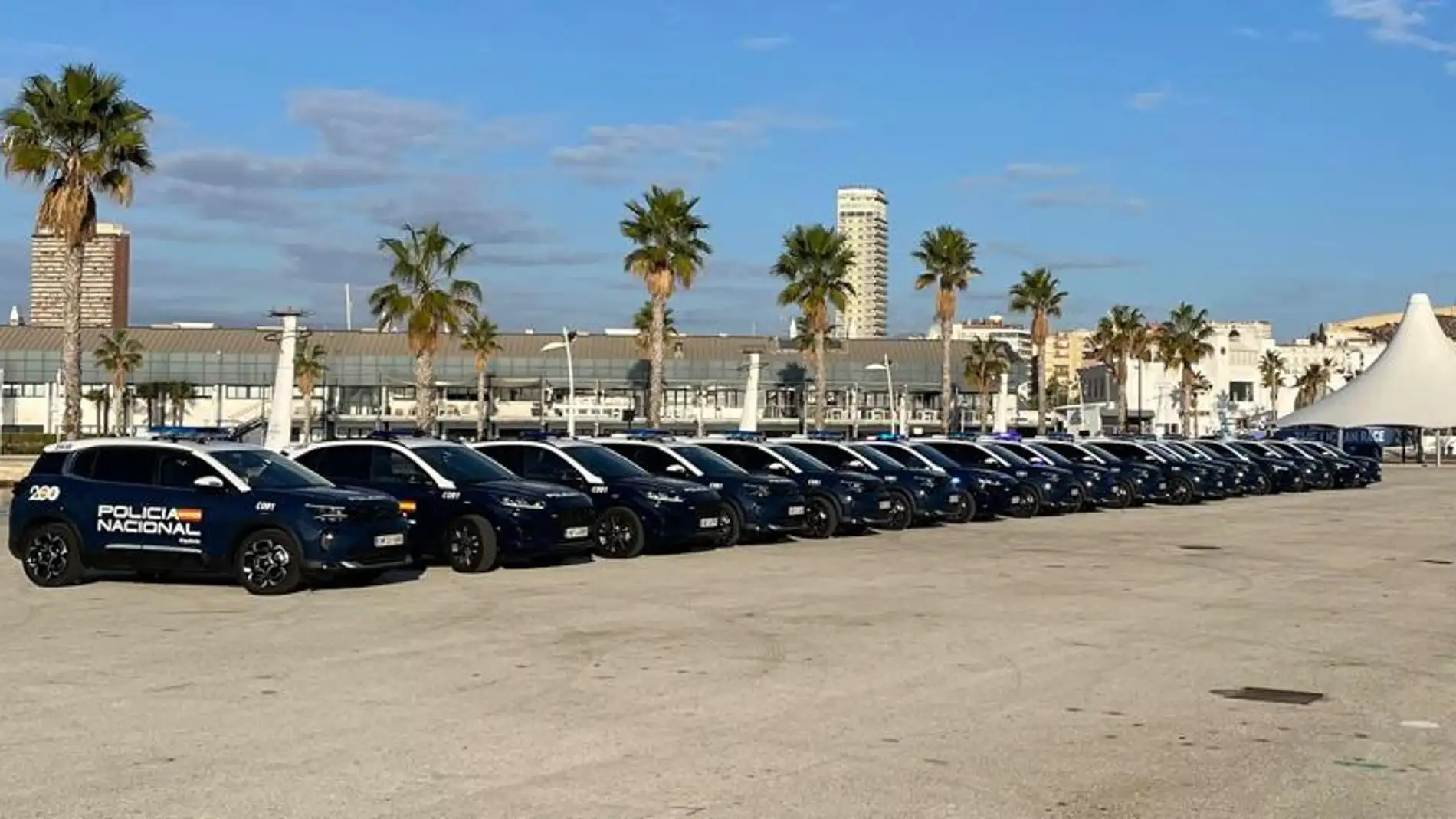Los nuevos coches de la Policía Nacional de Alicante 