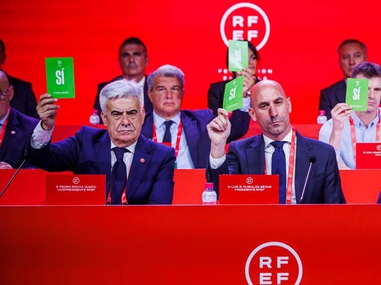 La RFEF presume de controlar el Tribunal del Deporte que tiene que decidir sobre la inhabilitación a Pedro Rocha y su gestora La RFEF presume de controlar el Tribunal del Deporte que tiene que decidir sobre la inhabilitación a Pedro Rocha y su gestora
