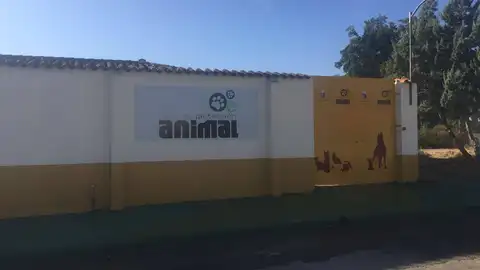 El PSOE municipal denuncia "irregularidades" cometidas por el ayuntamiento con la gestión del Centro de Protección Animal El PSOE municipal denuncia "irregularidades" cometidas por el ayuntamiento con la gestión del Centro de Protección Animal