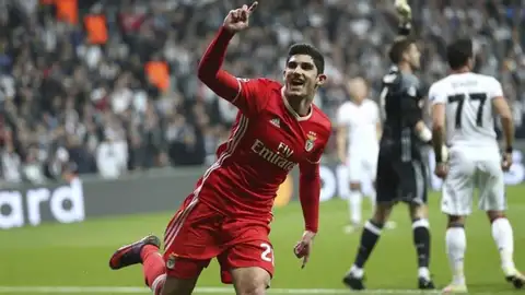 Gonçalo Guedes Gonçalo Guedes