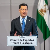 El presidente de la Junta de Andalucía, Juanma Moreno / Francisco J. Olmo / Europa Press El presidente de la Junta de Andalucía, Juanma Moreno / Francisco J. Olmo / Europa Press