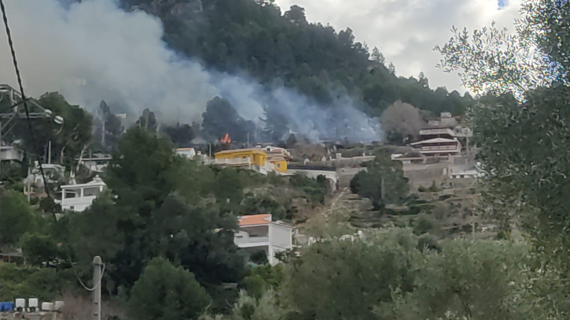 Un incendio en el Tallat Roig de Alzira obliga a desalojar chalés del Xavegó Alt Un incendio en el Tallat Roig de Alzira obliga a desalojar chalés del Xavegó Alt