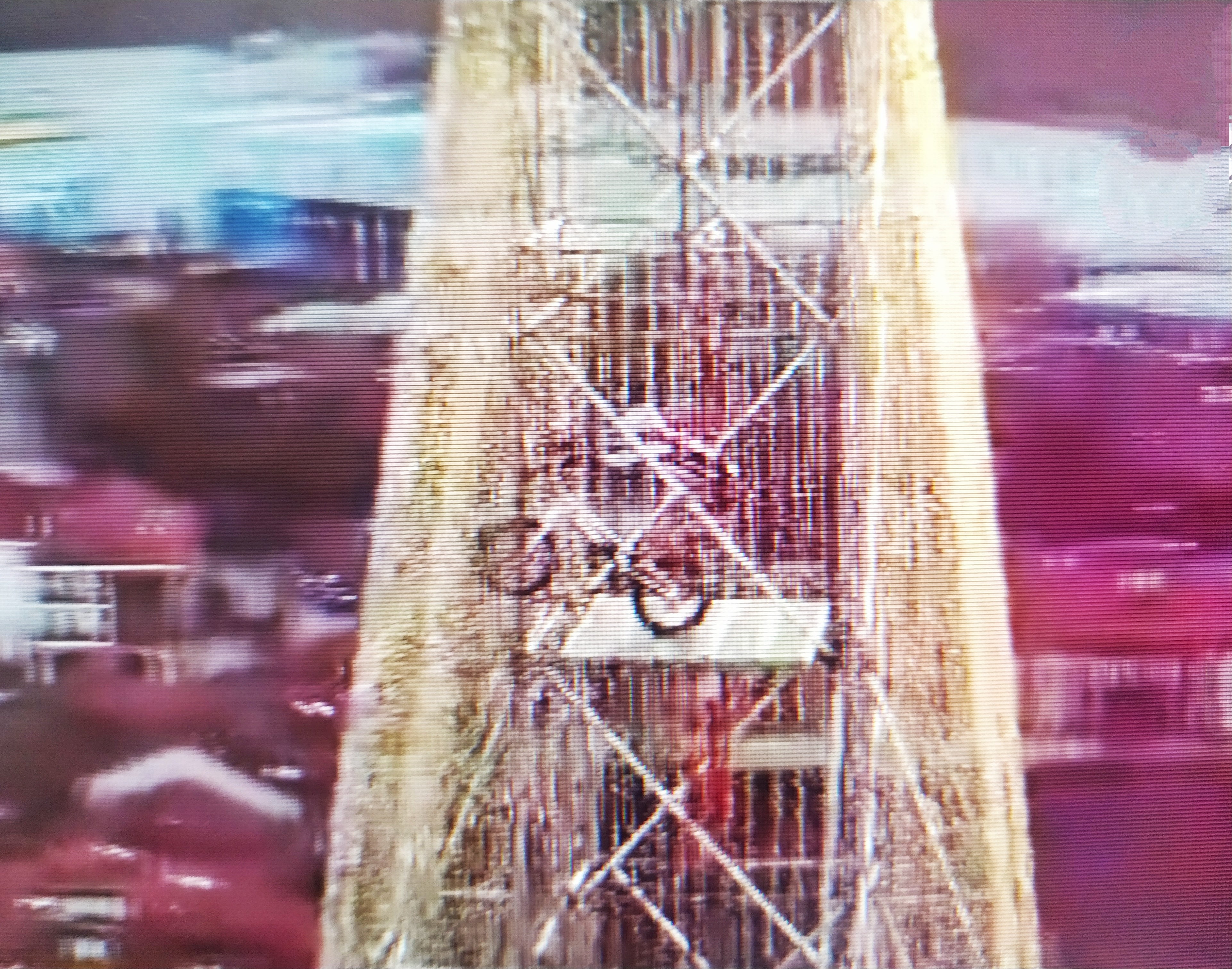 Bike Trial en la cima del árbol de Navidad de Cartes Bike Trial en la cima del árbol de Navidad de Cartes