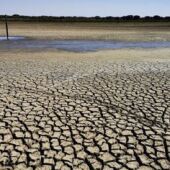 Imagen de archivo de la sequía en municipios de la Sierra de Huelva.