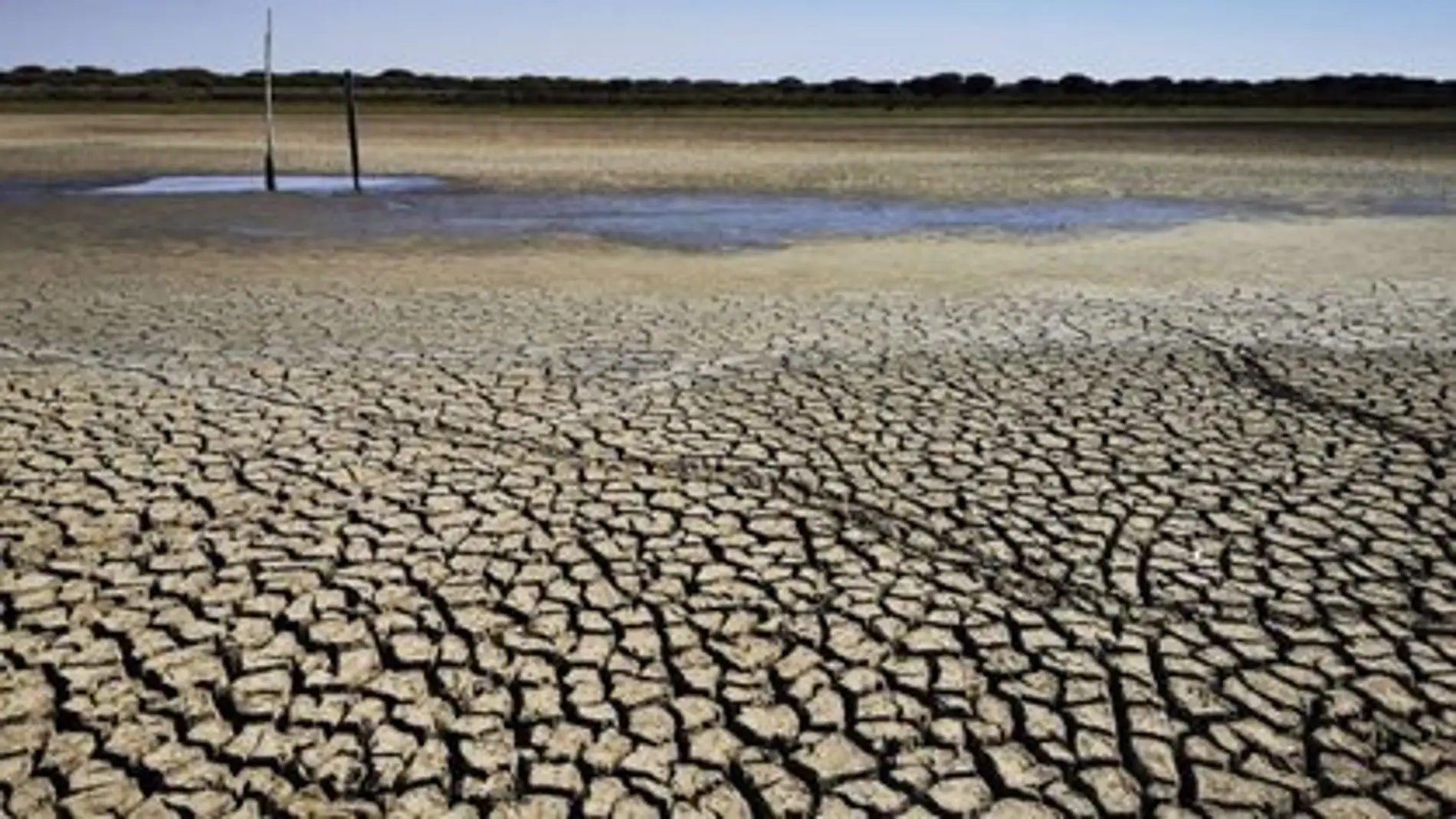 Imagen de archivo de la sequía en municipios de la Sierra de Huelva.