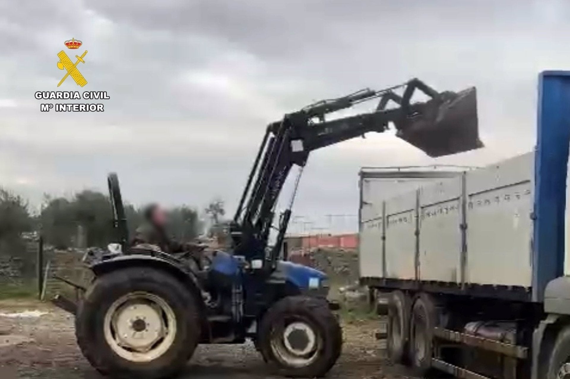 Investigado por retirar 15.000 kg de aceitunas inmovilizadas para entregarlas en una almazara en la provincia de Cáceres Investigado por retirar 15.000 kg de aceitunas inmovilizadas para entregarlas en una almazara en la provincia de Cáceres