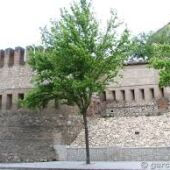 Fuerte de San Francisco (Guadalajara)