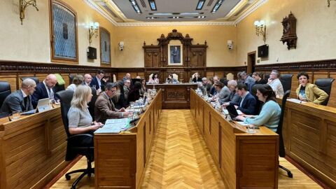 Aprobada en un pleno extraordinaria la suspensi&oacute;n de licencias VUT