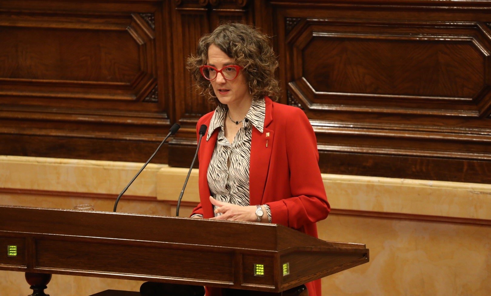 La Generalitat reclama recursos i més competències en immigració La Generalitat reclama recursos i més competències en immigració