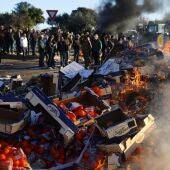 Agricultores franceses queman frutas españolas durante una manifestación en la que han bloqueado la autopista A9 en Nîmes, en el sur de Francia
