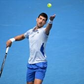 Un estelar Sinner supera a Djokovic en semifinales