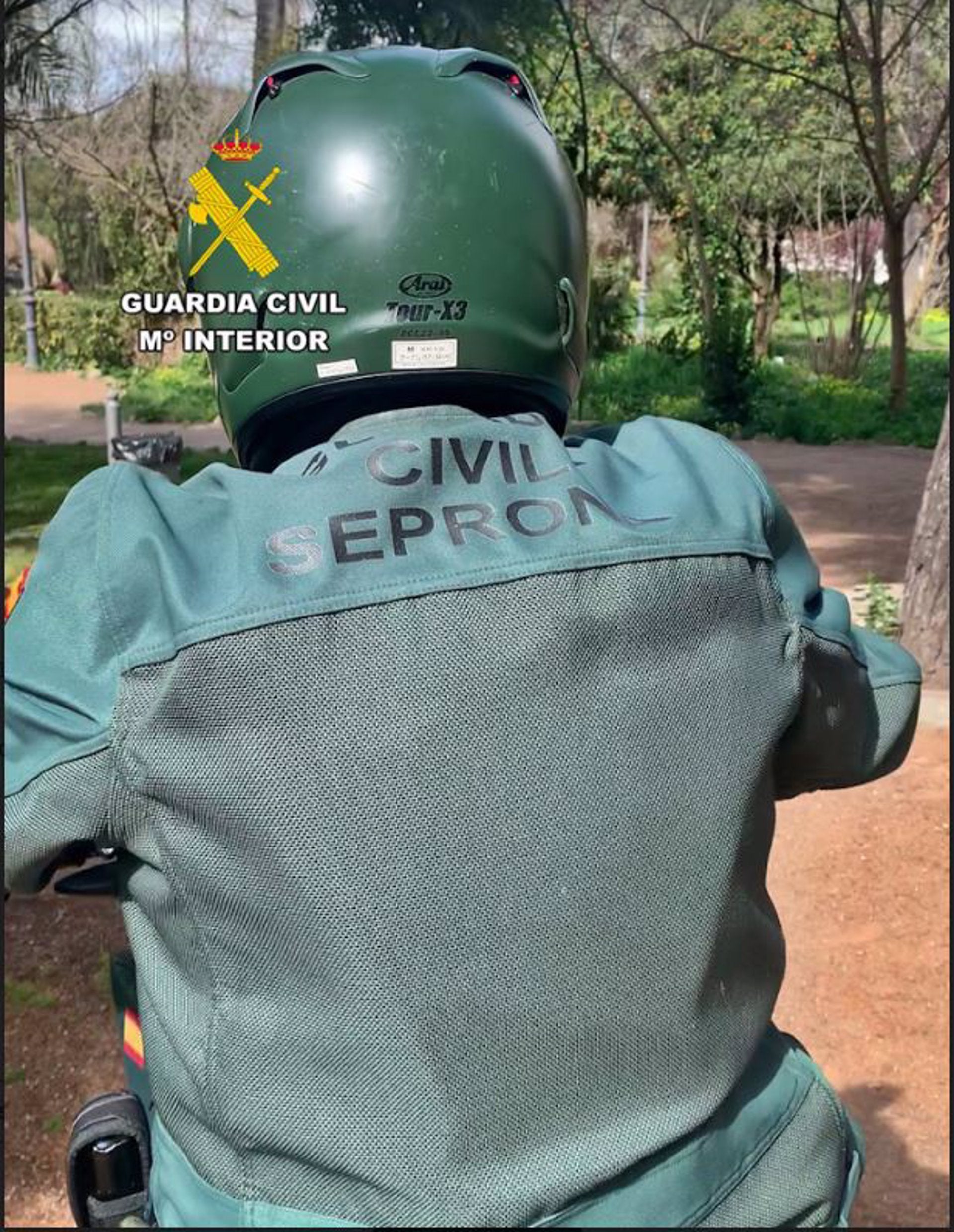 La Guardia Civil investiga a un hombre por tirar 7 perros a un contenedor de San Vicente de Alcántara, de los que 6 fallecieron La Guardia Civil investiga a un hombre por tirar 7 perros a un contenedor de San Vicente de Alcántara, de los que 6 fallecieron