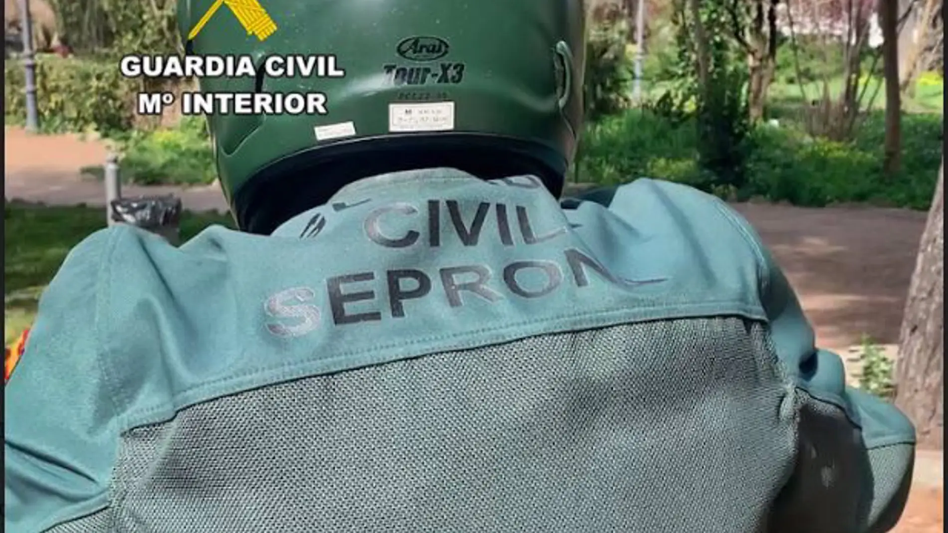 La Guardia Civil investiga a un hombre por tirar 7 perros a un contenedor de San Vicente de Alcántara, de los que 6 fallecieron