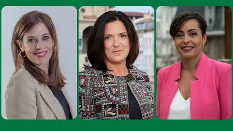 Acuerdo Ayuntamiento de Vitoria Acuerdo Ayuntamiento de Vitoria