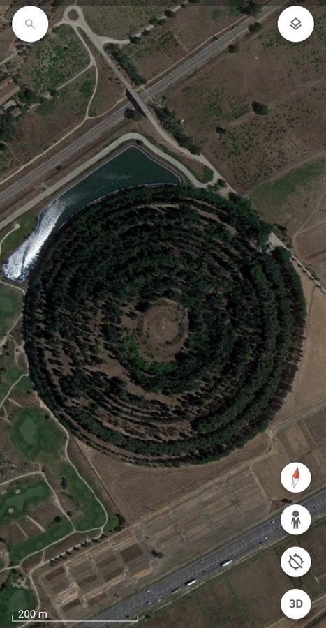 El bosque atómico El bosque atómico