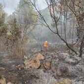Imagen del incendio en el Tallat Roig