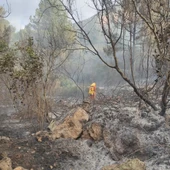 Imagen del incendio en el Tallat Roig Imagen del incendio en el Tallat Roig