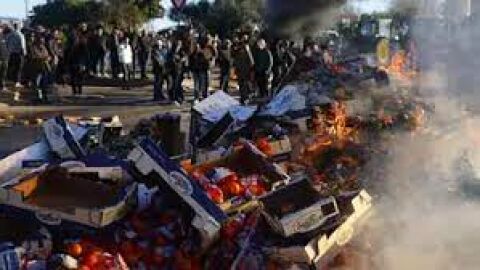 El campo pide firmeza al Gobierno ante los ataques al producto espa&ntilde;ol en Francia y prepara movilizaciones