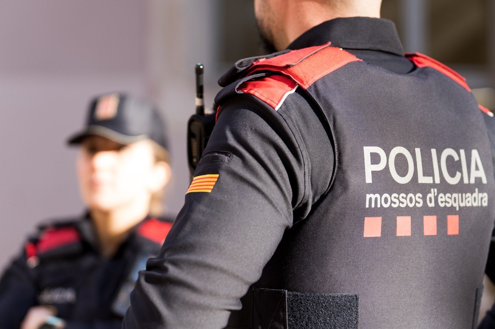 Detenido en Flaçà el presunto autor del crimen de la mujer de Torroella de Montgrí Detenido en Flaçà el presunto autor del crimen de la mujer de Torroella de Montgrí