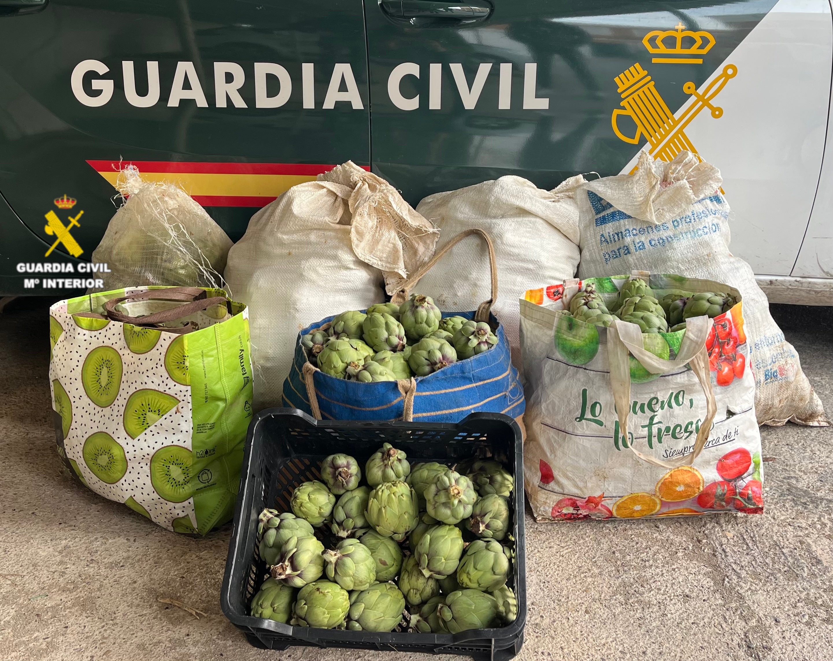 La Guardia Civil detiene a una persona por varios delitos de hurto de alcachofas perpetrados en parcelas del Baix Maestrat La Guardia Civil detiene a una persona por varios delitos de hurto de alcachofas perpetrados en parcelas del Baix Maestrat