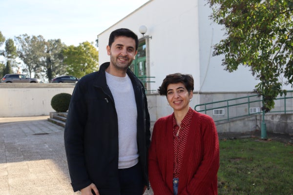 La IA puede identificar variedades de olivo a partir de fotos de huesos de aceituna La IA puede identificar variedades de olivo a partir de fotos de huesos de aceituna