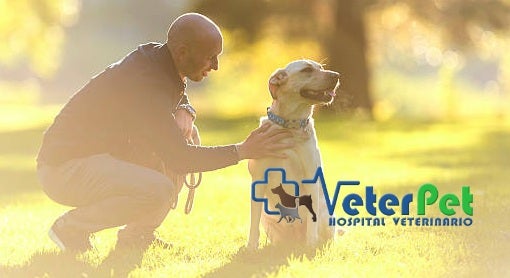 Proteger a nuestro perro de los parásitos es necesario también en invierno Proteger a nuestro perro de los parásitos es necesario también en invierno