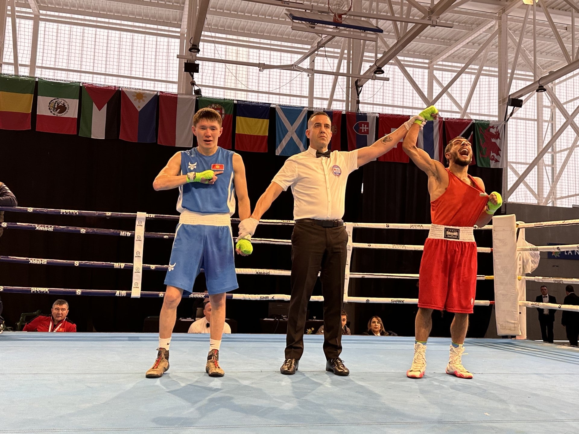 La Nucía alberga el Torneo Boxam Internacional Elite 2024 La Nucía alberga el Torneo Boxam Internacional Elite 2024