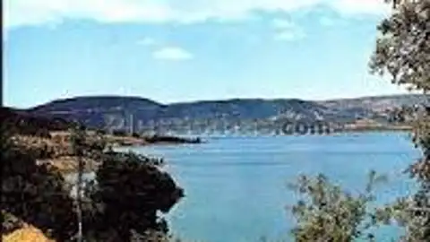 Superan el 29 por ciento Superan el 29 por ciento