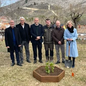 La UMH entrega un esqueje de la higuera de Miguel Hernández al Museo Paleontológico de Castilla La Mancha La UMH entrega un esqueje de la higuera de Miguel Hernández al Museo Paleontológico de Castilla La Mancha