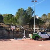 Operario realizando el tratamiento correctivo contra la procesionaria