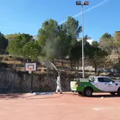 Operario realizando el tratamiento correctivo contra la procesionaria Operario realizando el tratamiento correctivo contra la procesionaria