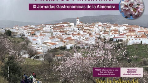 almendro en flor-filabres