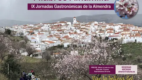 almendro en flor-filabres almendro en flor-filabres