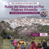 almendro en flor-filabres