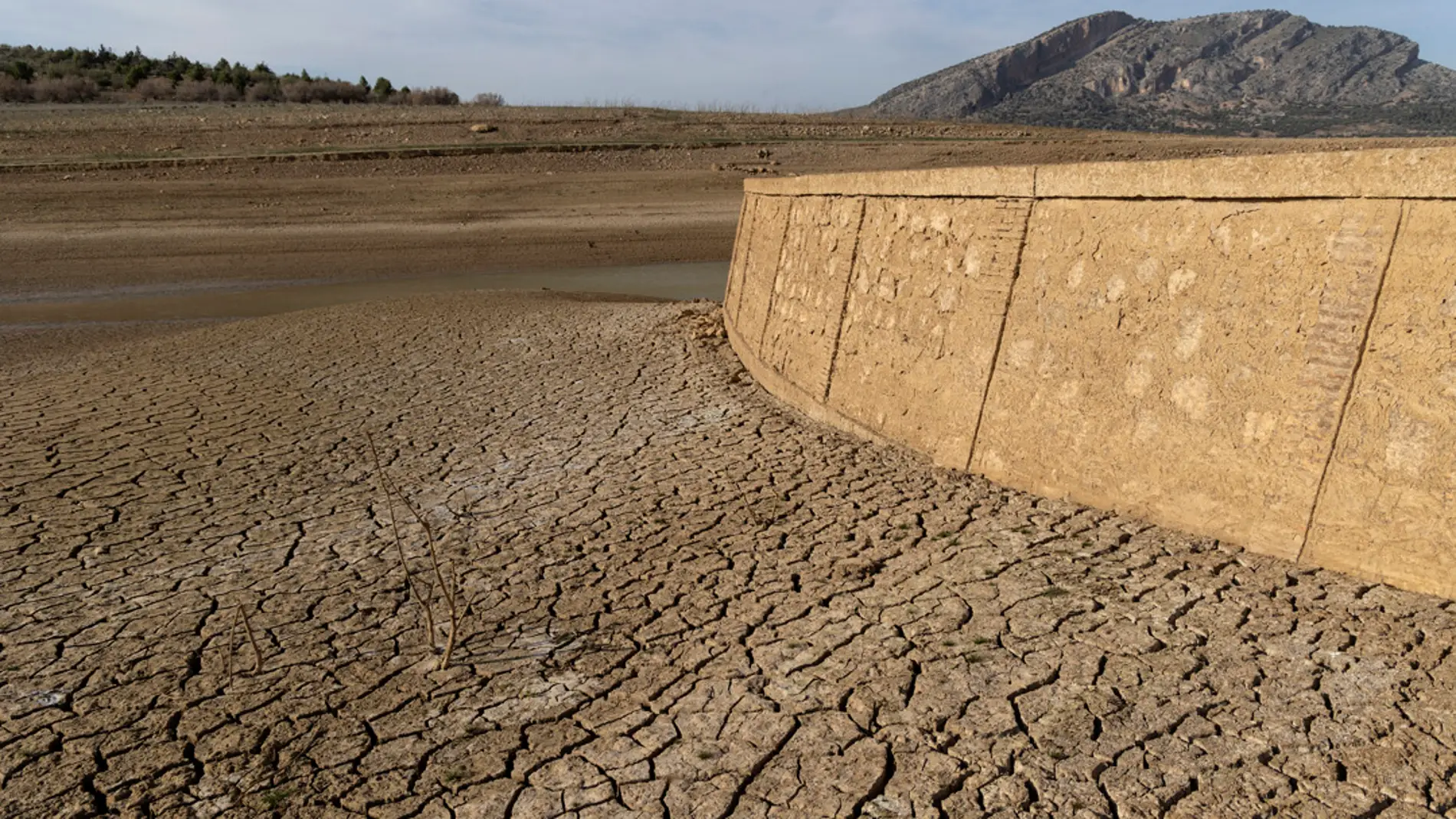 Cuál es el estado de sequía en Andalucía: ¿puede tener las mismas restricciones que Cataluña?