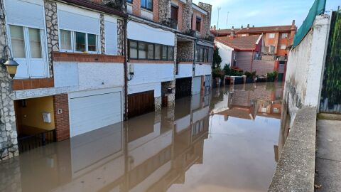 Viana