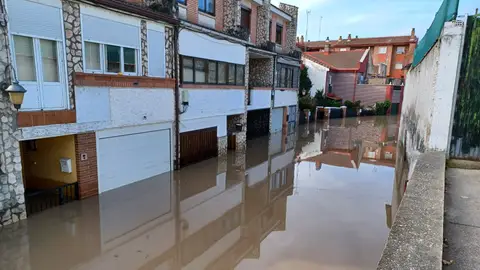 Viana Viana