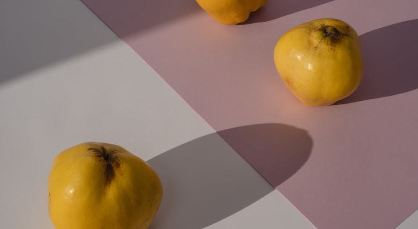 Paula Rodríguez: «El membrillo es buena opción para los hipertensos» Paula Rodríguez: «El membrillo es buena opción para los hipertensos»