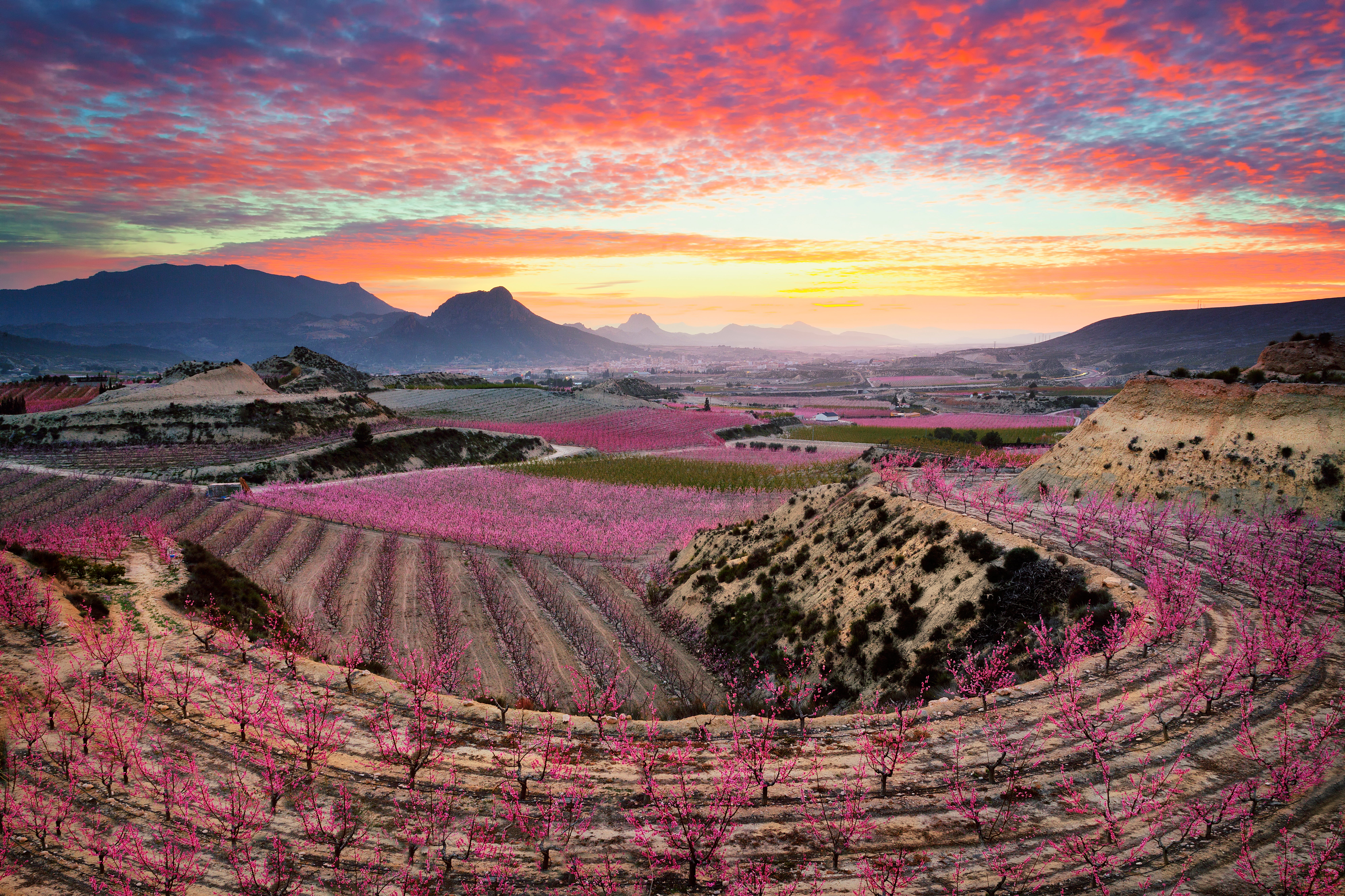 Un espectáculo de la naturaleza que ofrece rutas, actividades gastronómicas, deportivas y culturales Un espectáculo de la naturaleza que ofrece rutas, actividades gastronómicas, deportivas y culturales