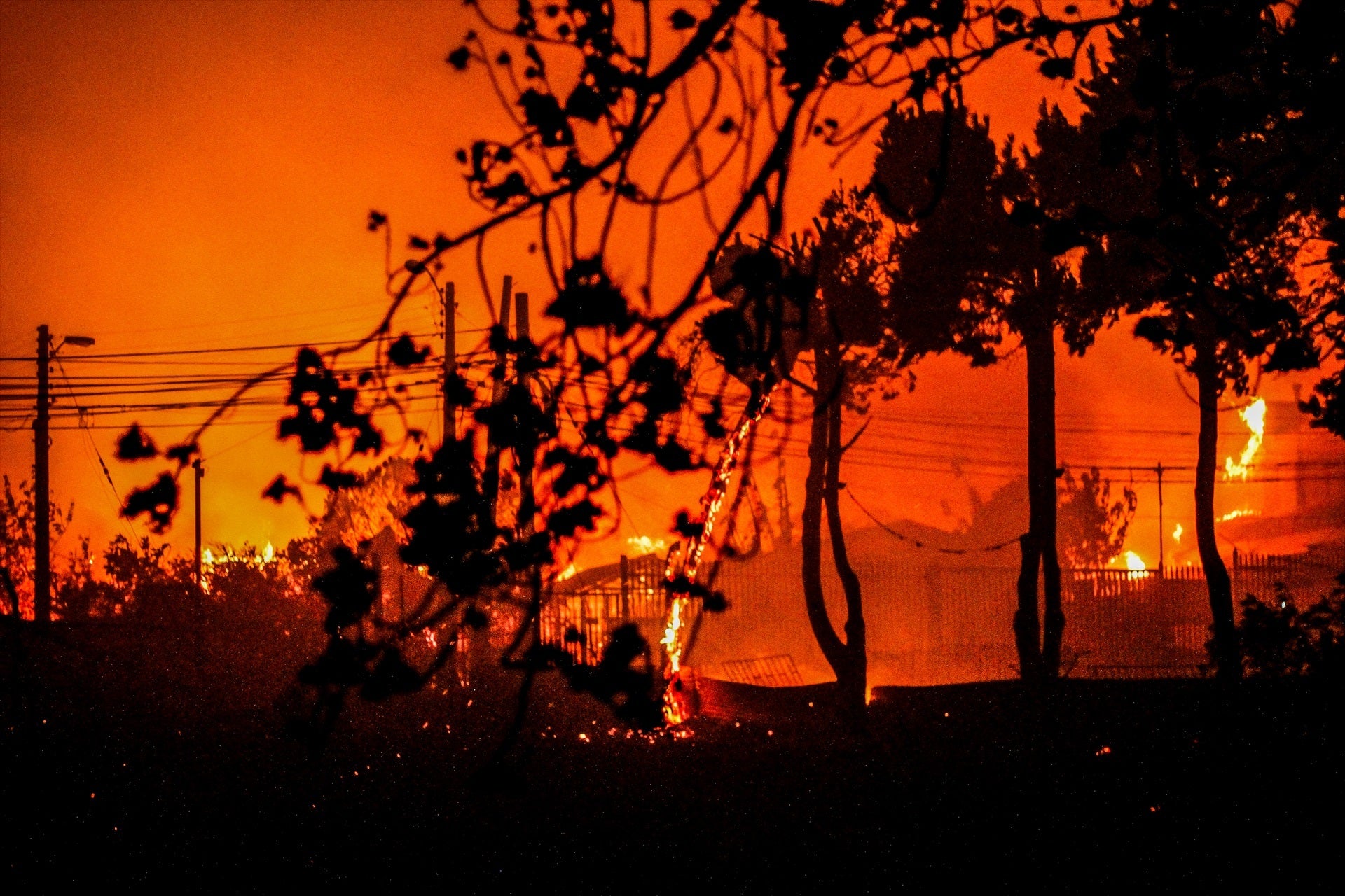 El fuego arrasa Chile: un centenar de muertos por los devastadores incendios en Valparaíso El fuego arrasa Chile: un centenar de muertos por los devastadores incendios en Valparaíso