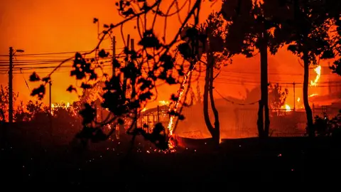 El fuego arrasa Chile: más de 50 muertos por los incendios El fuego arrasa Chile: más de 50 muertos por los incendios