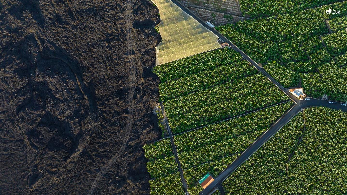 La Brújula de Canarias | Lunes 05/02/2024 La Brújula de Canarias | Lunes 05/02/2024