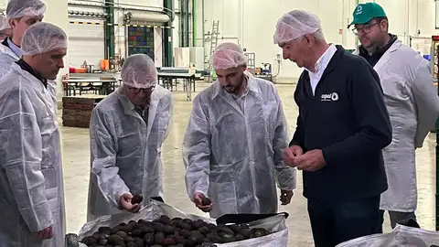 Ayuntamiento Algemesi visita COPAL Ayuntamiento Algemesi visita COPAL