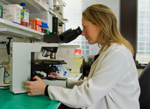 El CSIC organiza charlas, talleres y una exposición para celebrar el Día de la Mujer y la Niña en la Ciencia El CSIC organiza charlas, talleres y una exposición para celebrar el Día de la Mujer y la Niña en la Ciencia