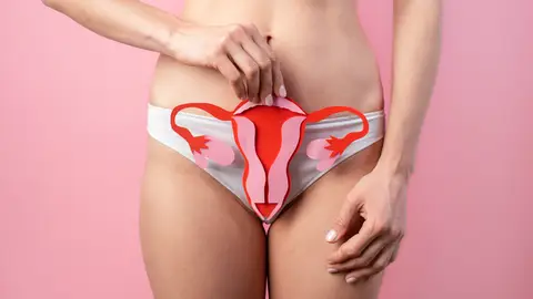 Imagen de archivo de una vagina Imagen de archivo de una vagina
